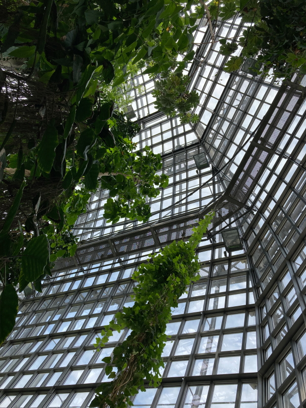 Photo Catherine Gras