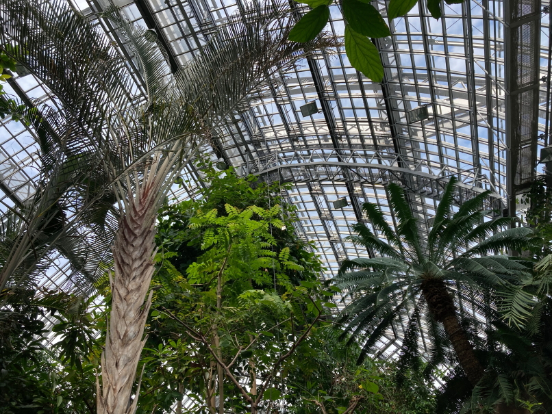 Photo Catherine Gras