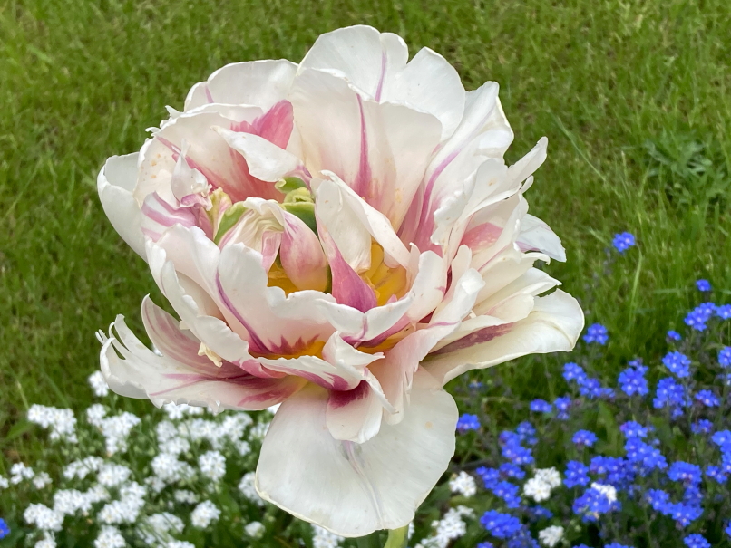 Photo Catherine Gras