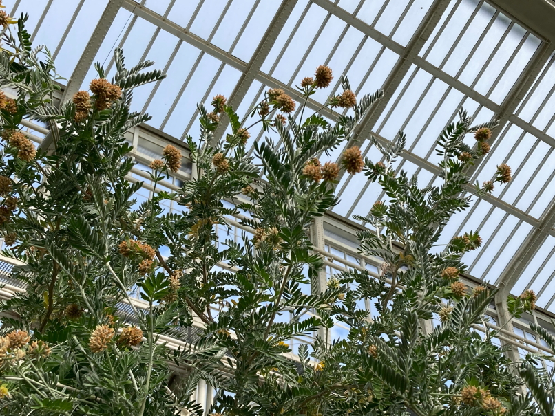 Photo Catherine Gras