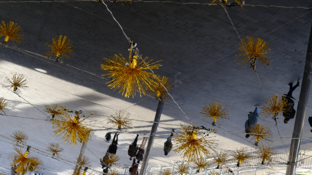 Photo Catherine Gras